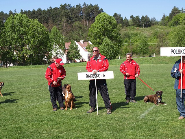 www.atibox.net * www.euroboxer.eu * www.boxergenealogia.eu
